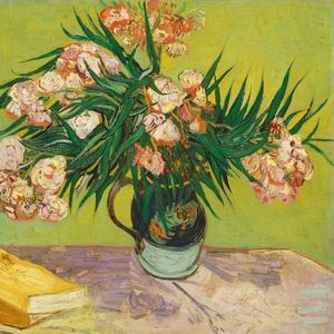 Meet your Posher, Abigail